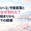 『アオのハコ』守屋菖蒲と高砂はなぜ別れた？交際の始まりから破局までの経緯。白い余白を生かした、淡くやわらかな日本の少女漫画雑誌風の水彩イラスト。背景には淡い桜色と水色の空、やわらかな光が差し込む京都の街並みを簡略化して配置し、手前には無地のジグソーパズルのピースを控えめに描く。建